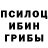 Псилоцибиновые грибы Cubensis luceli21ify