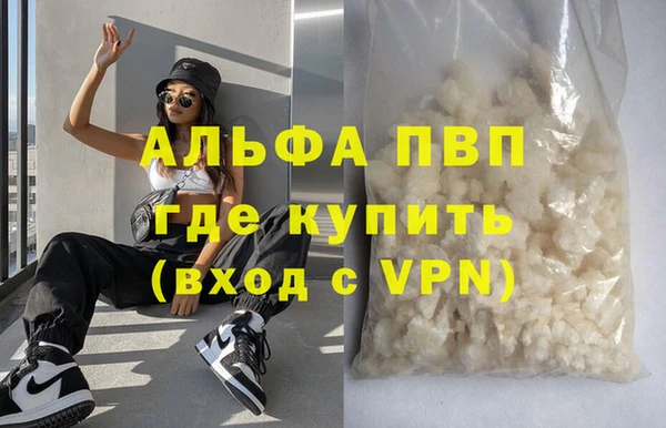 гидра Белокуриха