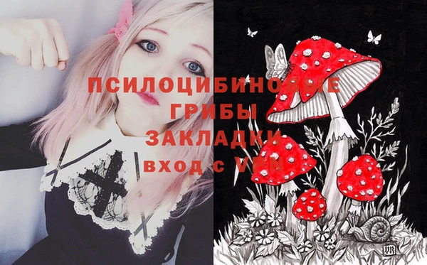 гидра Белокуриха