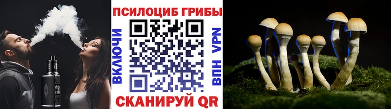 Галлюциногенные грибы Psilocybine cubensis Мариинский Посад